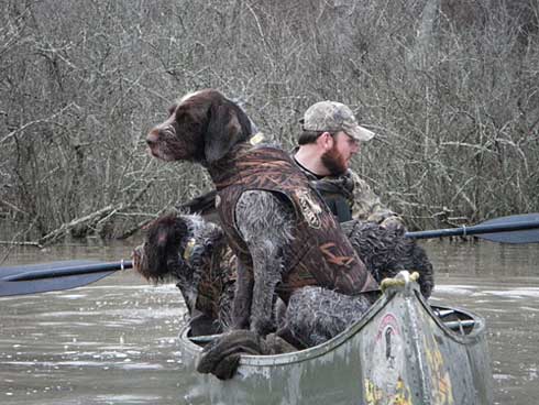 Duck Hunting - Griff