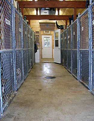 heated kennel